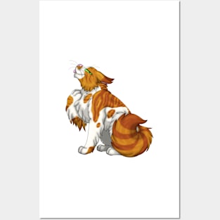 Ginger Bicolor Tabby Longhair Posters and Art